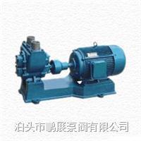 YHCB系列圓弧齒輪油泵生產(chǎn)廠/油罐車裝載泵 50YHCB-15 汽車只有圓弧齒輪油泵銷售價(jià)格/河北泊頭Y