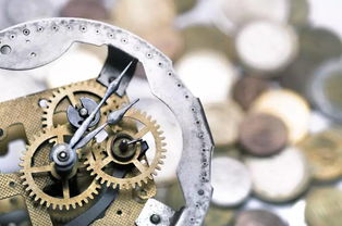 小齒輪，大底氣 揭秘一家不議價(jià)、不售后的齒輪生產(chǎn)企業(yè)